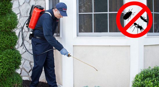 Kemeraltı Sivrisinek İlaçlama böcek ilaçlama ve haşere kontrolü — ilaclama-tr.com